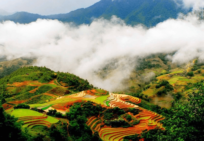 vouchersapa 2025 09 11T222630.985