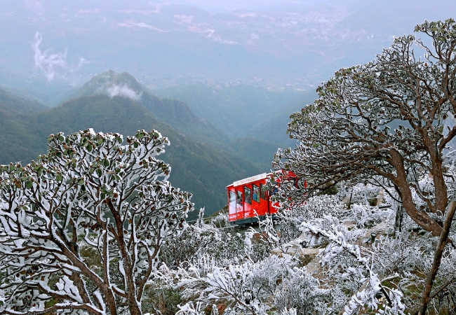 vouchersapa 2025 09 11T224530.792