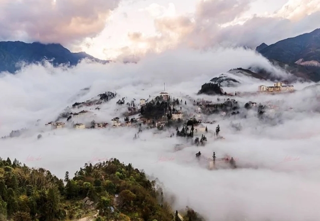 vouchersapa 2025 09 11T224613.837