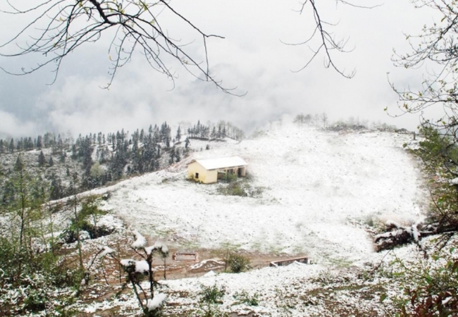 vouchersapa 2025 09 11T224807.892