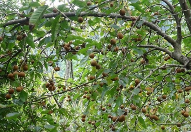 vouchersapa 2025 09 14T181044.430