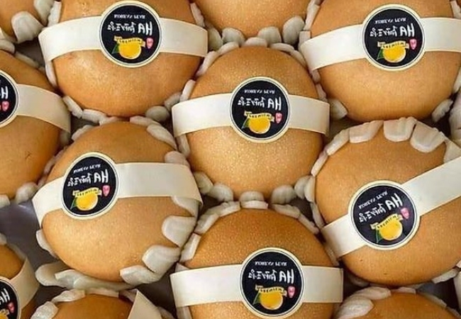 vouchersapa 2025 09 14T181359.777