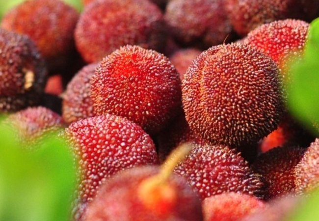 vouchersapa 2025 09 14T182858.005