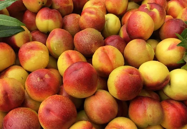 vouchersapa 2025 09 14T182948.814