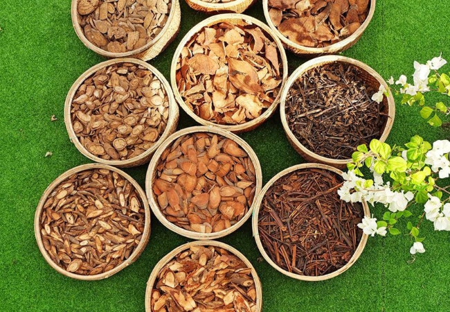 vouchersapa 2025 09 14T201601.737