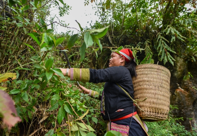 vouchersapa 2025 09 14T201708.668