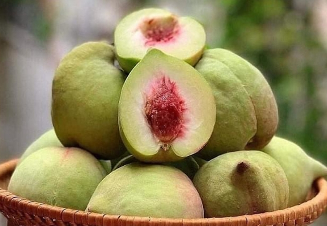 vouchersapa 2025 09 15T172445.741