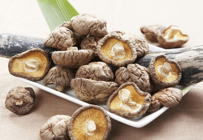 vouchersapa 2025 09 15T172727.789