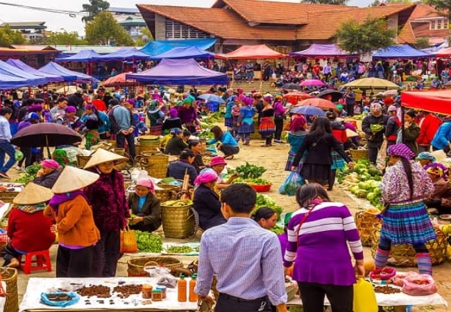 vouchersapa 2025 09 15T172845.769