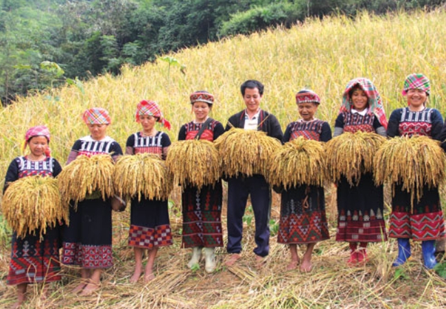 vouchersapa 2025 09 16T171248.741