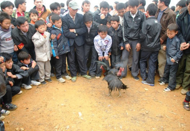 Lên Tây Bắc khám phá lễ hội Gầu Tào Sapa đặc sắc 11 vouchersapa 2025 09 16T173356.970