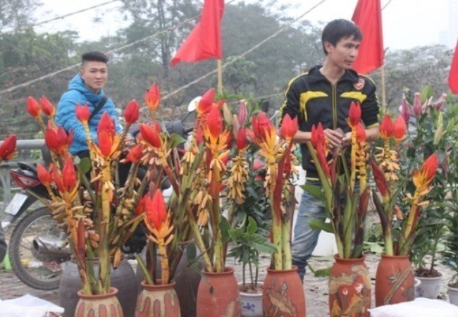 Lễ hội hoa chuối Sapa - Ước vọng no ấm từ người Xa Phó 10 vouchersapa 2025 09 18T194639.036