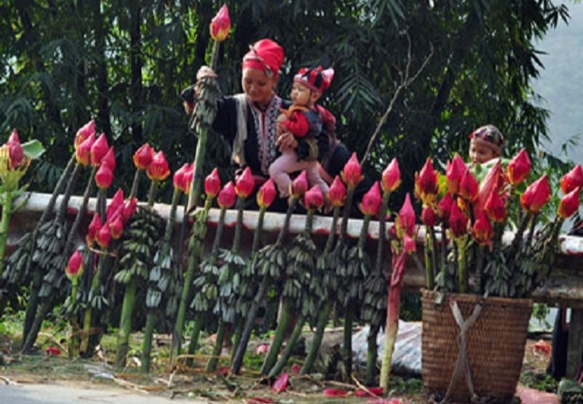 Lễ hội hoa chuối Sapa - Ước vọng no ấm từ người Xa Phó 9 vouchersapa 2025 09 18T194707.701