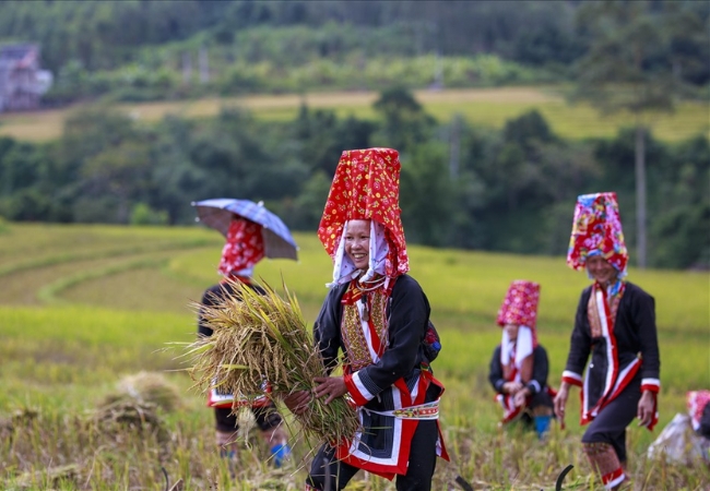 Những điều thú vị về các dân tộc thiểu số của Sapa 11 vouchersapa 2025 09 18T213853.675