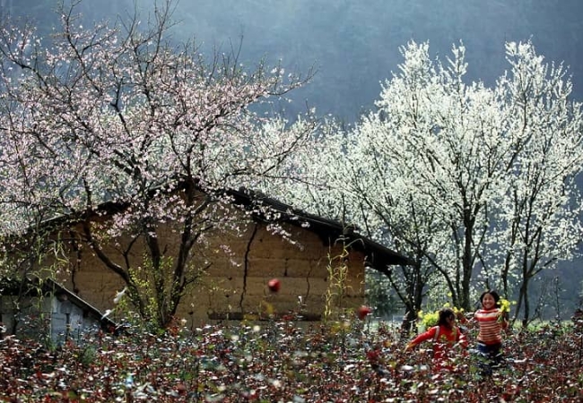 vouchersapa 2025 09 21T155933.170