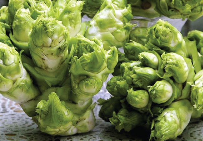 Rau mầm đá Sapa - đặc sản núi rừng từ truyền thuyết đến hiện thực 2 vouchersapa 58