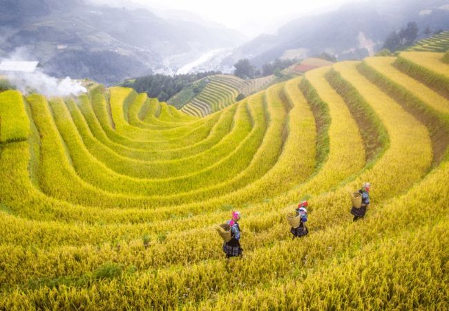 vouchersapa 6