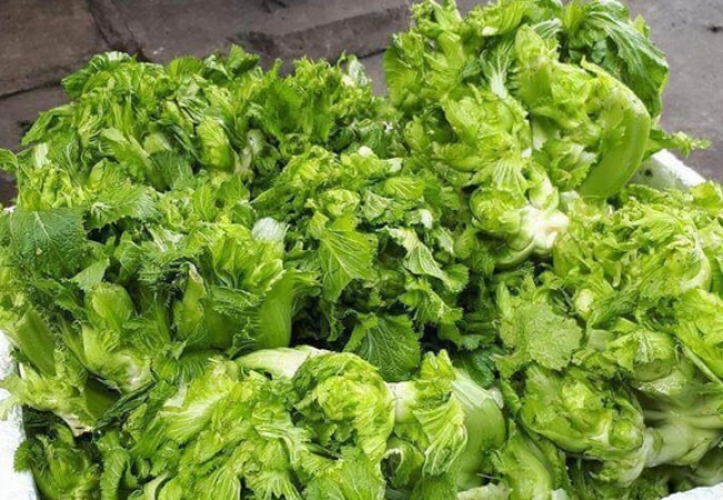 Rau mầm đá Sapa - đặc sản núi rừng từ truyền thuyết đến hiện thực 12 vouchersapa 69