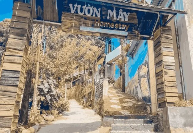 Vườn Mây Homestay Sapa: Tọa độ săn mây lý tưởng tại phố núi