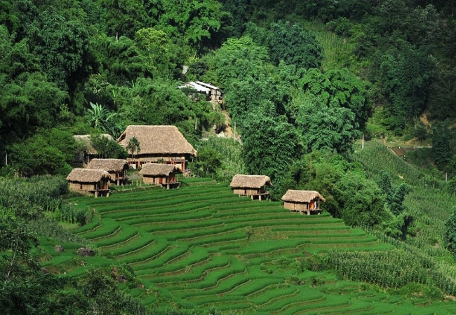 anhminhhoa 2026 04 04T173045.667