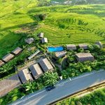 Eco Palms House: Hành trình tìm về bản ngã giữa đại ngàn