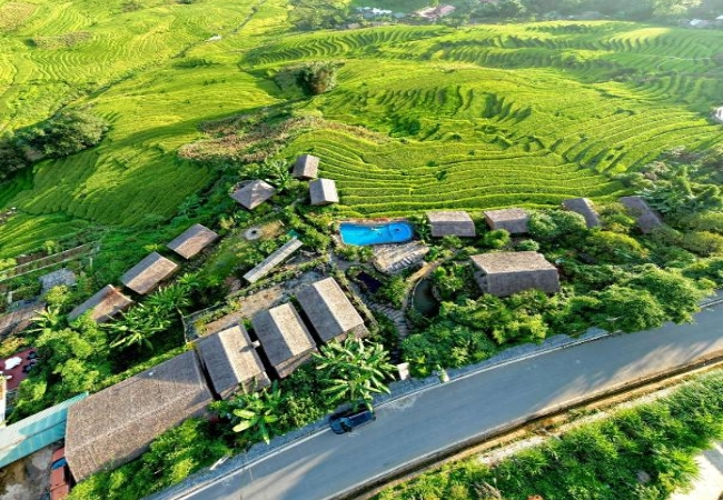 Eco Palms House: Hành trình tìm về bản ngã giữa đại ngàn